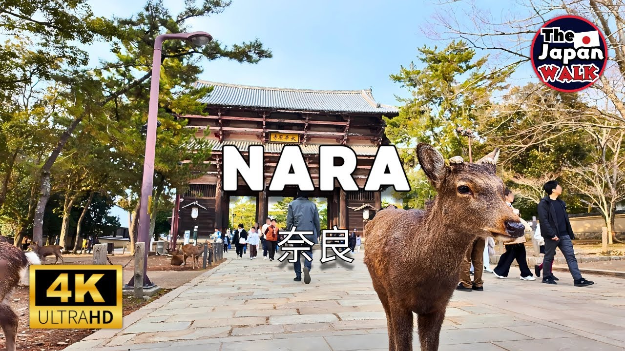 Nara: A Must-Visit for Stunning Scenery and Culture | Walking Tour | 4K