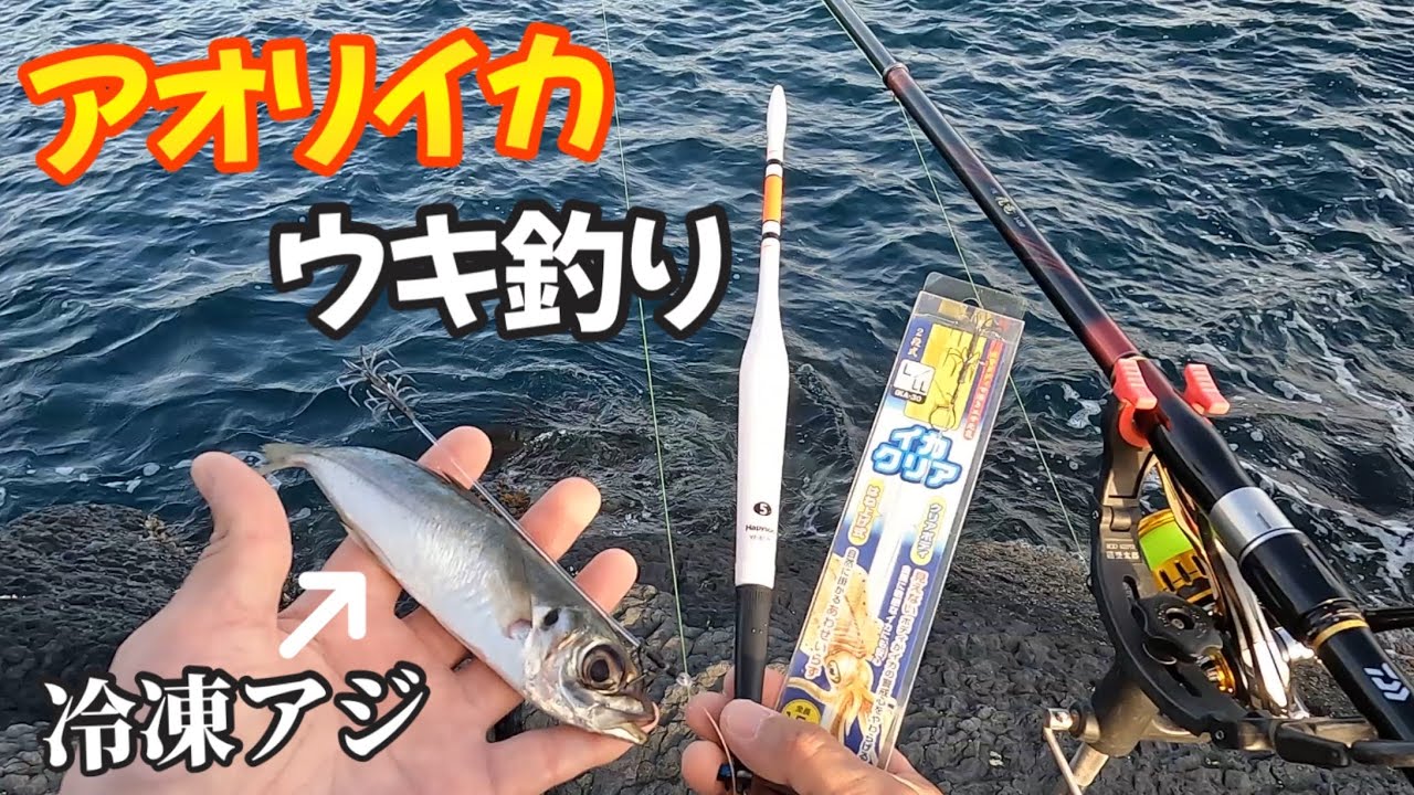 [釣り日記㊶] この仕掛けを放置するだけで春のアオリイカゲット👍