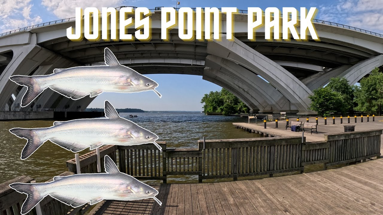 Fishing Jones Point Park Pier | Potomac River VA (Catfish)