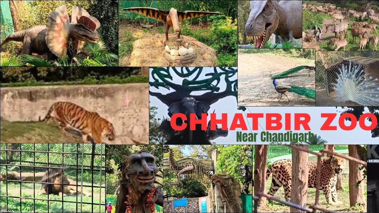 Mahendra Chaudhary Zoological Park | Chhat Bir Zoo  Zirakpur | Near Chandigarh Dianosaur Park