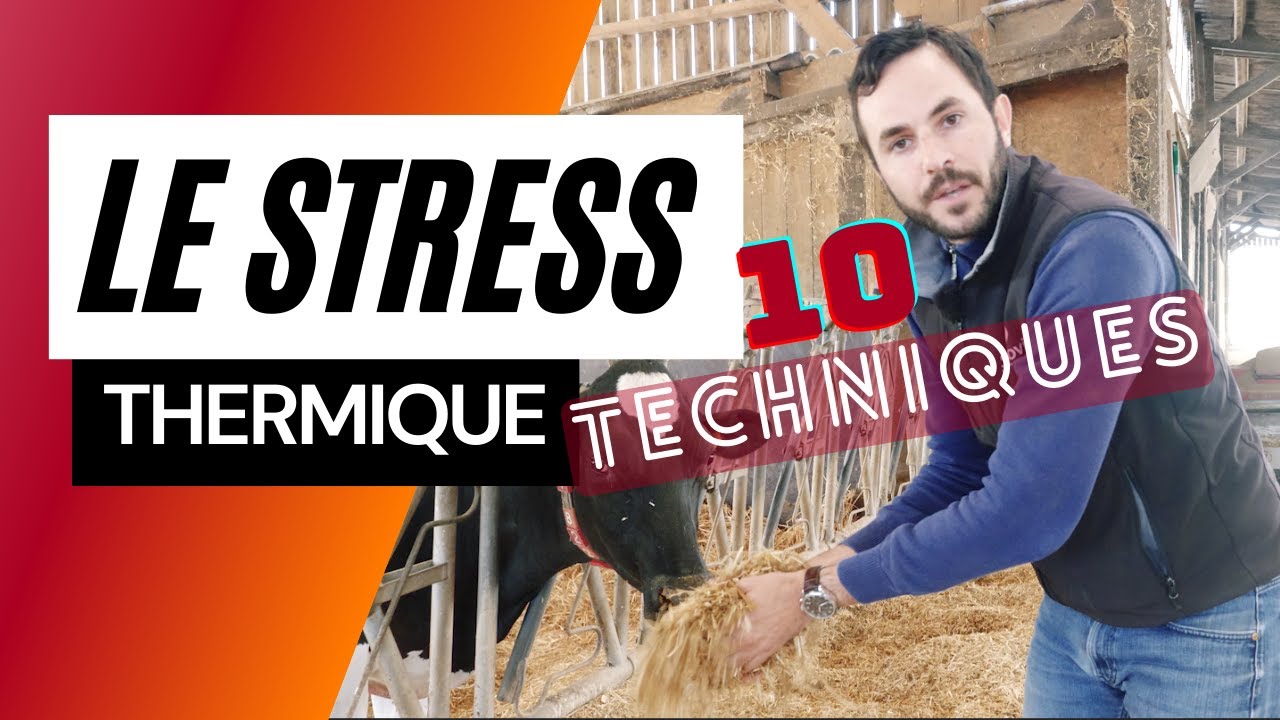 10 techniques pour lutter contre le stress thermique