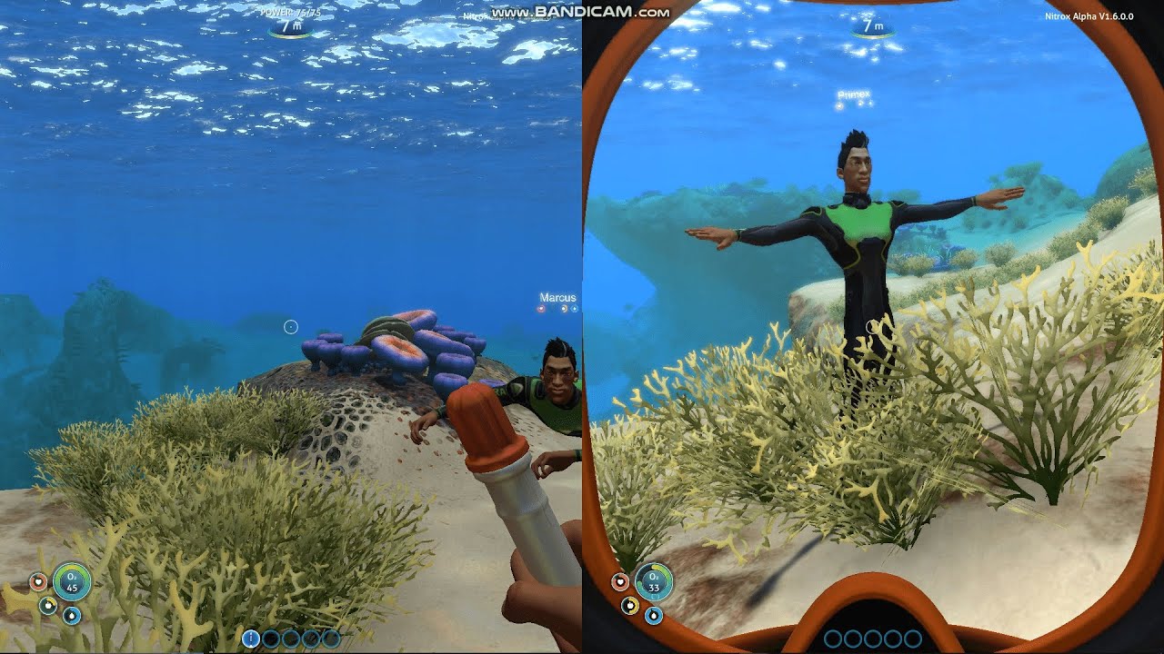 How to play Split Screen in Subnautica PC