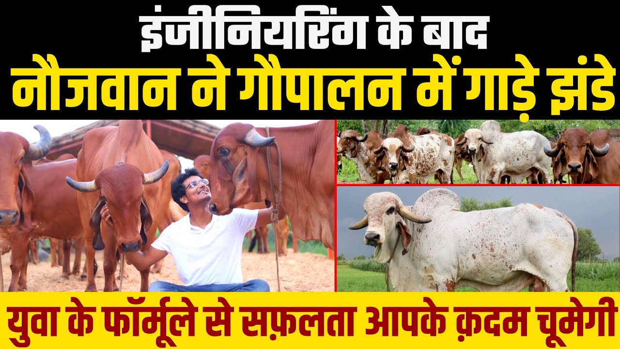 Gir गायों से 4 साल में कर दिया कमाल, 20 एकड़ का अद्भुत Organic Farm । Vibhor Jain । Kinaya। Jaipur ।