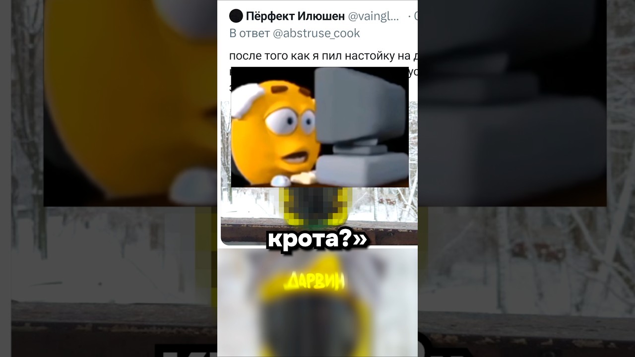 Россия и Бразилия братья на век. Один народ, одна кротовуха