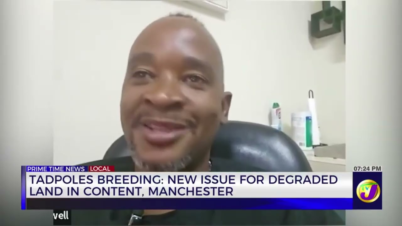 Tadpoles Breeding: New Issue for Degraded Land in Content, Manchester | TVJ News