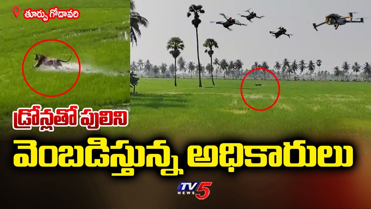 Tiger Rescue Updates: High Technology Being Used To Track Tiger Movement | East Godavari || TV5