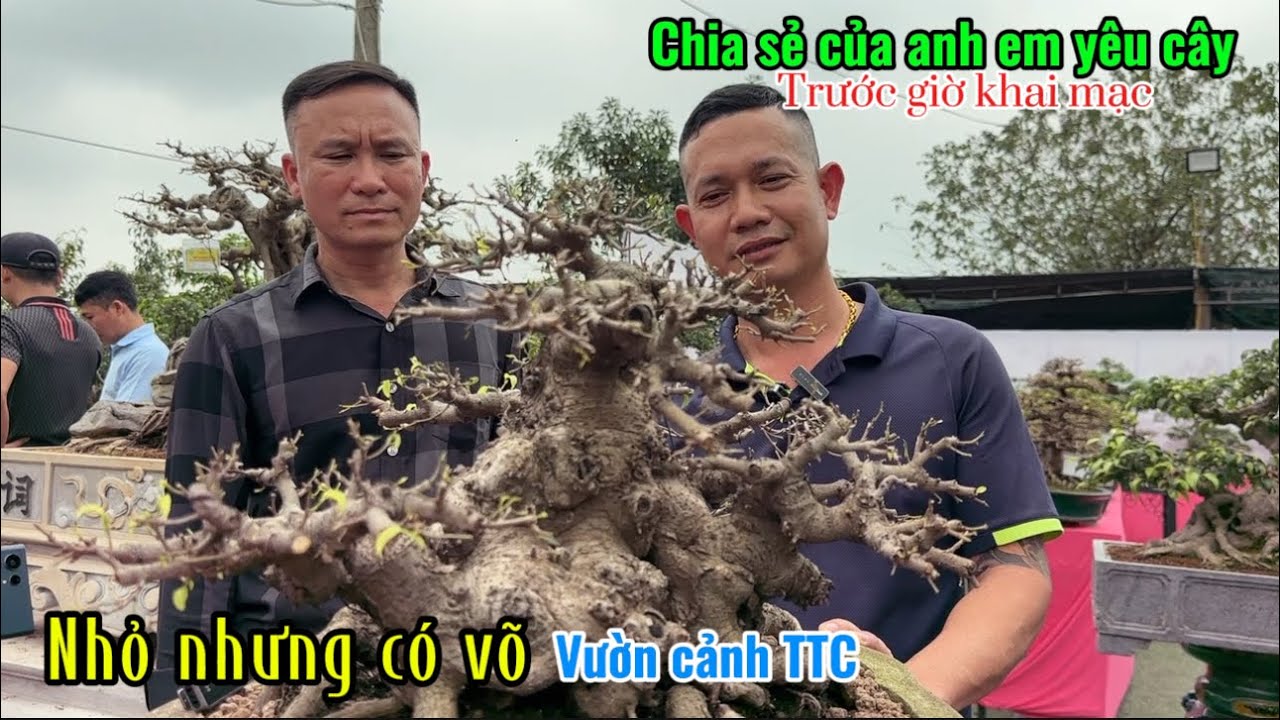 Quảng Tùng| chia sẻ của AE yêu cây trước giờ khai mạc TL TTC Hoài Đức Hà Nội