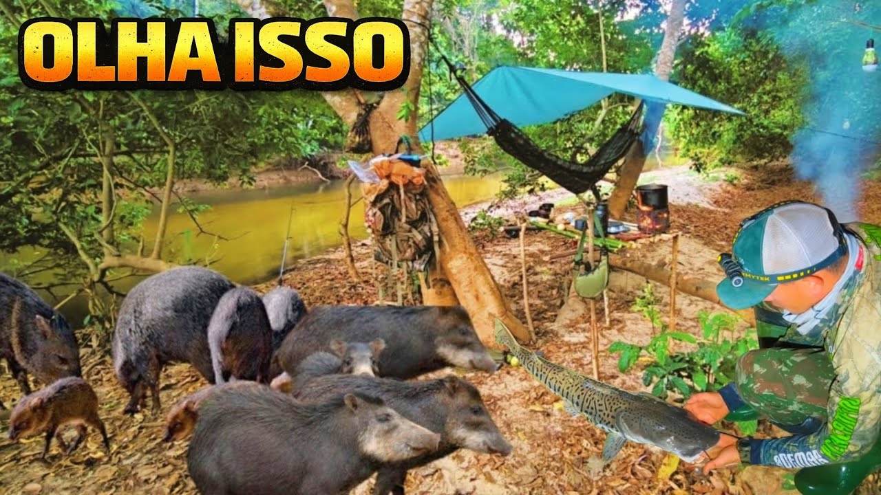 O perigo estava por perto. Sozinho no  rio rodeado por bandos de Animais Selvagens 