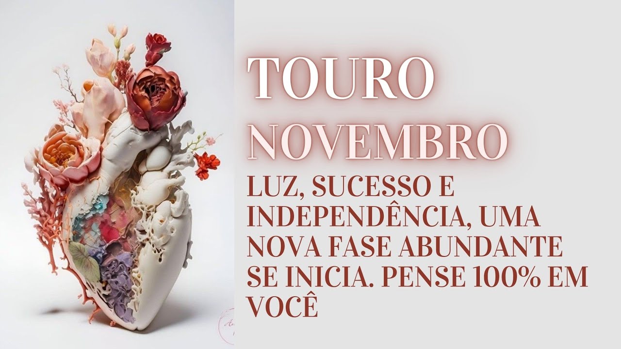 TOURO ♉ - LUZ, SUCESSO E INDEPENDÊNCIA, UMA NOVA FASE ABUNDANTE SE INICIA. PENSE 100% EM VOCÊ #nov24