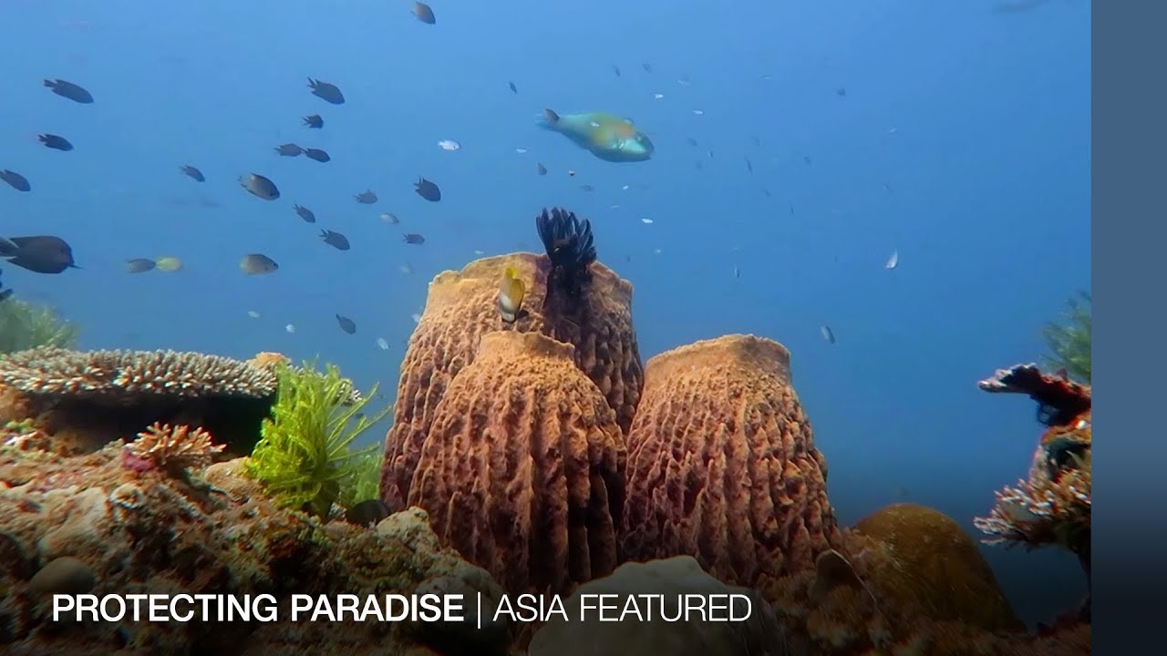 PHILIPPINES: Protecting paradise