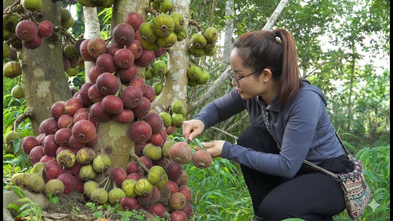 Harvesting giant honey figs and selling them all at the market in 8 minutes.