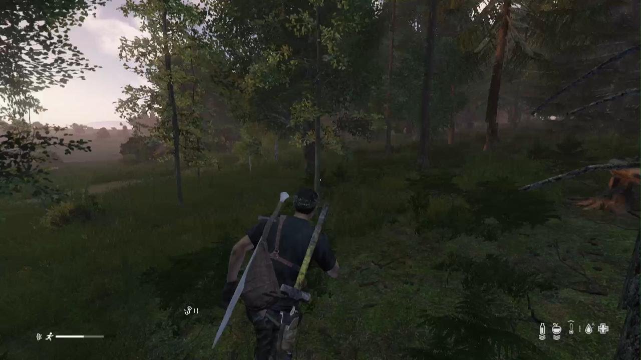 DayZ Stash Score