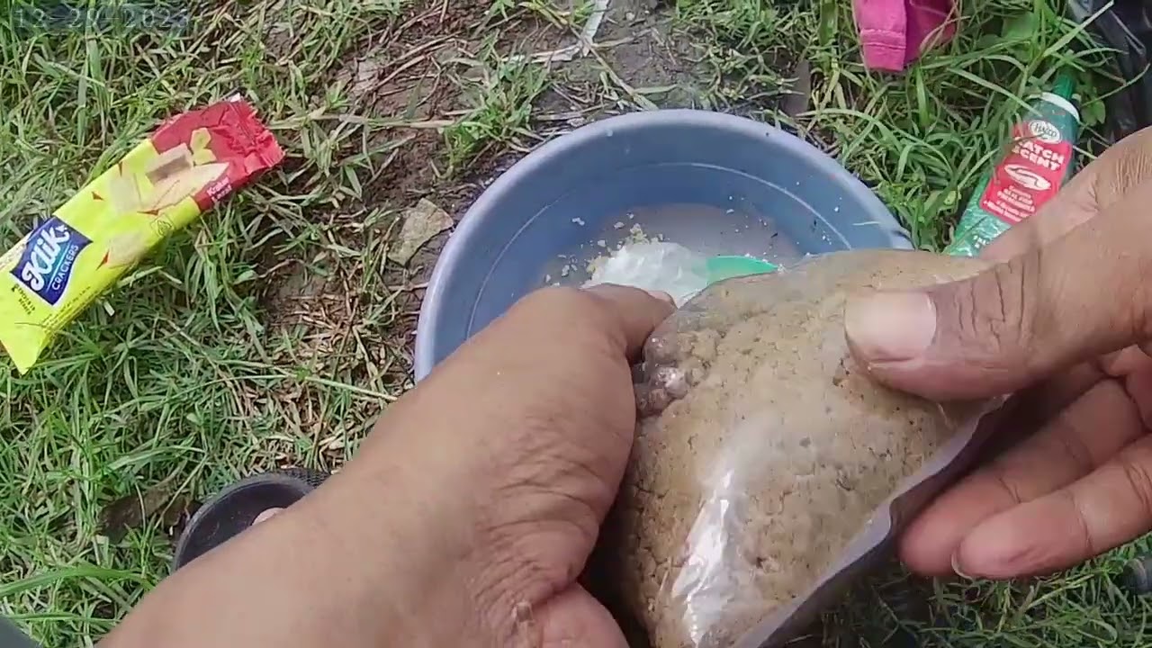 bikin umpan ikan emas sederhana tapi hasil memuaskan..#umpan ikan mas 