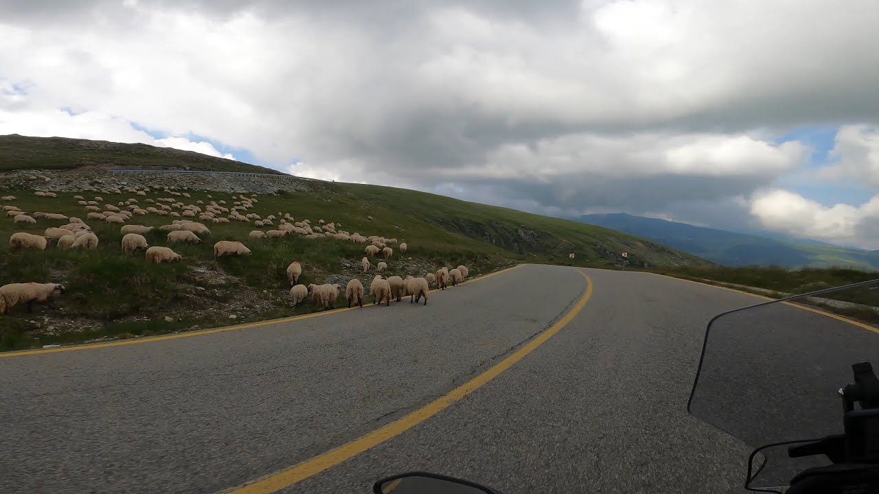 Transalpina - 25.06.2024   Yamaha Tracer 9 GT+ 4K