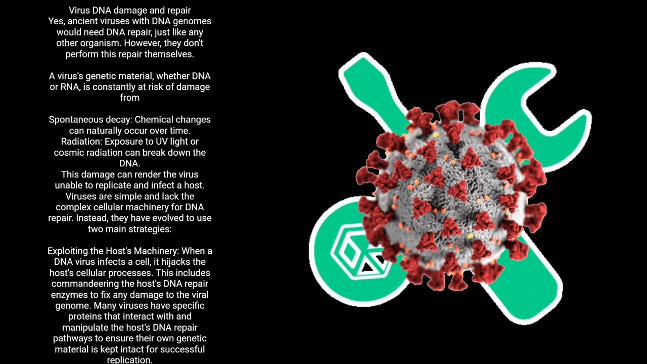 (Pale Virus) Indept analysis Part 2