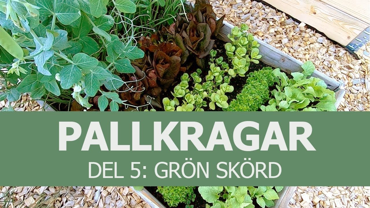 Pallkrage del 5: Grön skörd