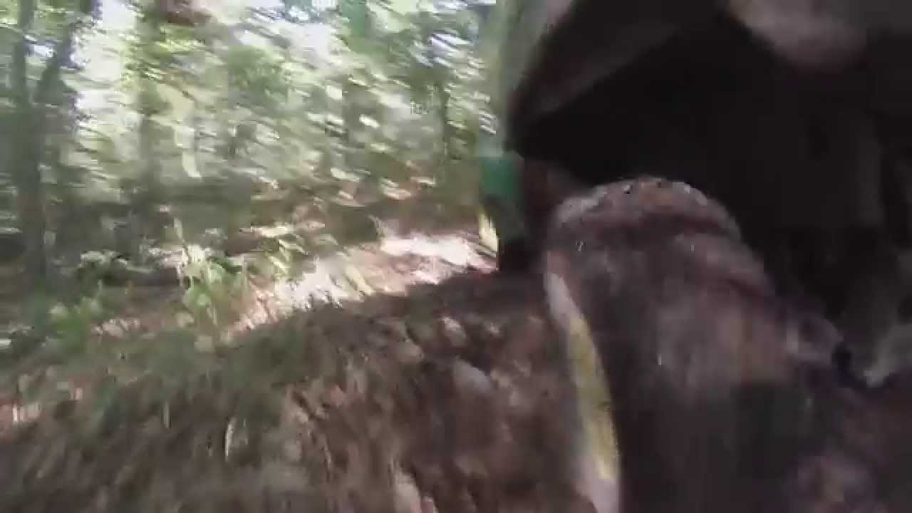 Redneck Racing Trailer