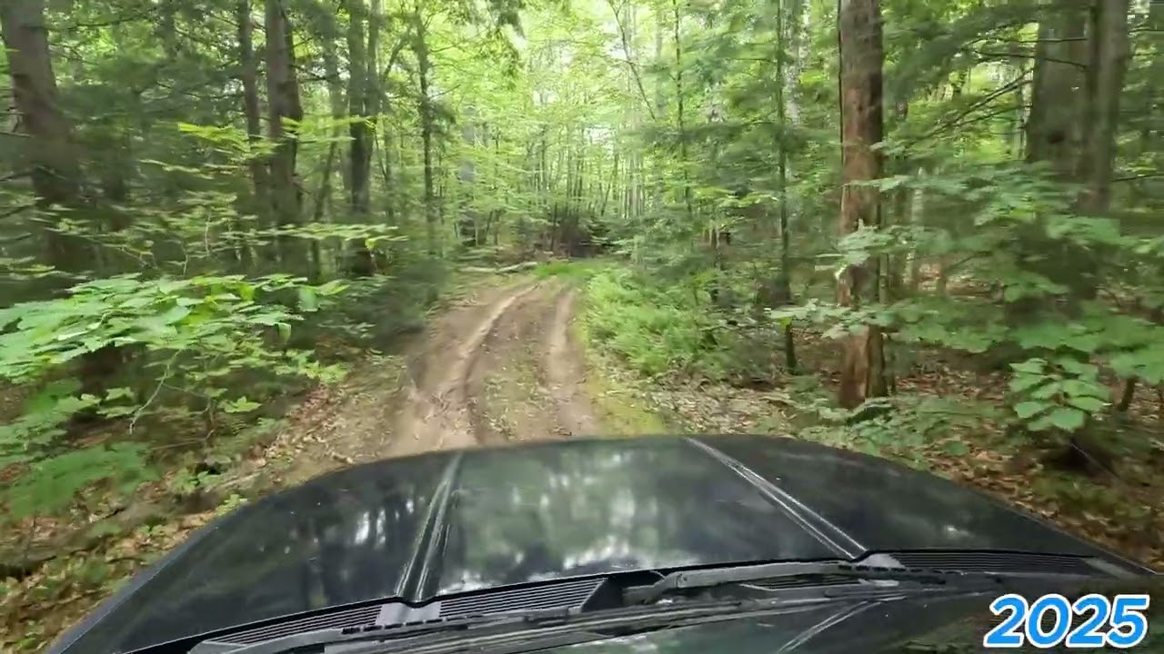 Dawes Road (ashland, nh)