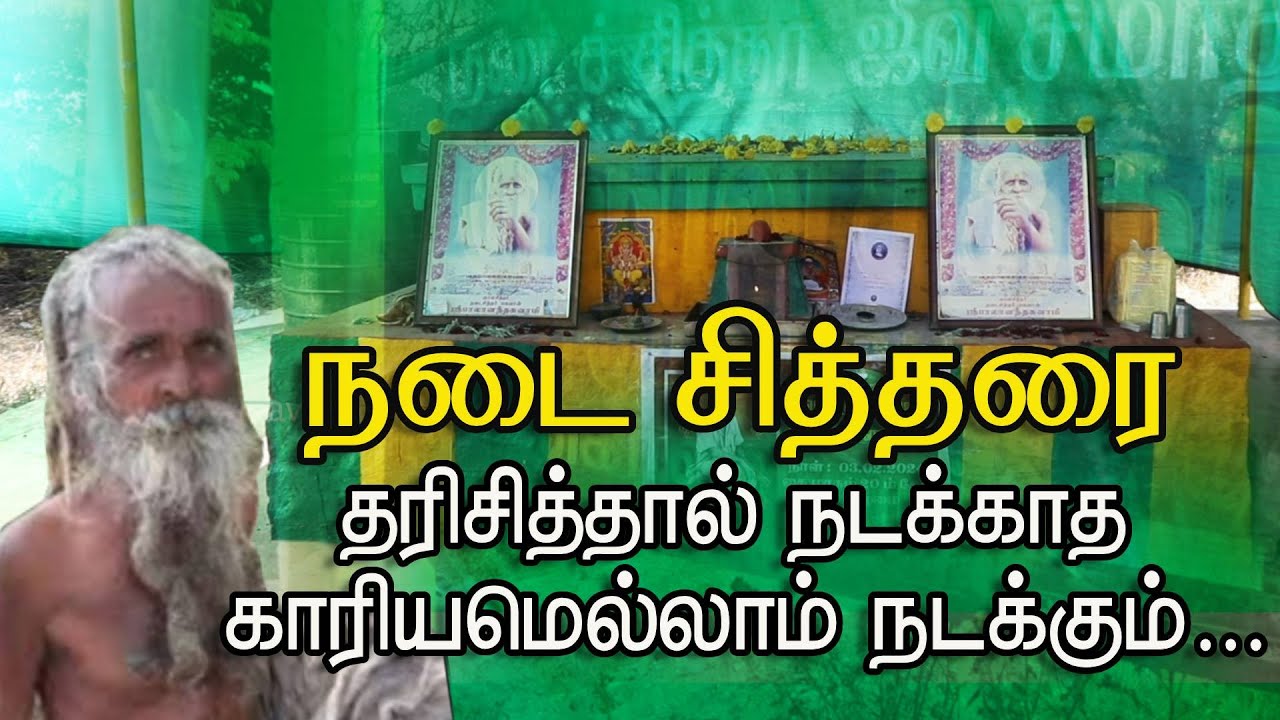 நடை சித்தரை தரிசித்தால் நடக்காத காரியமெல்லாம் நடக்கும் | Pranavam TV