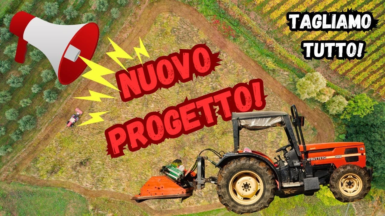 TAGLIAMO TUTTO! - Pulizia di un campo incolto con trattore e trincia | Finetti (VR) |