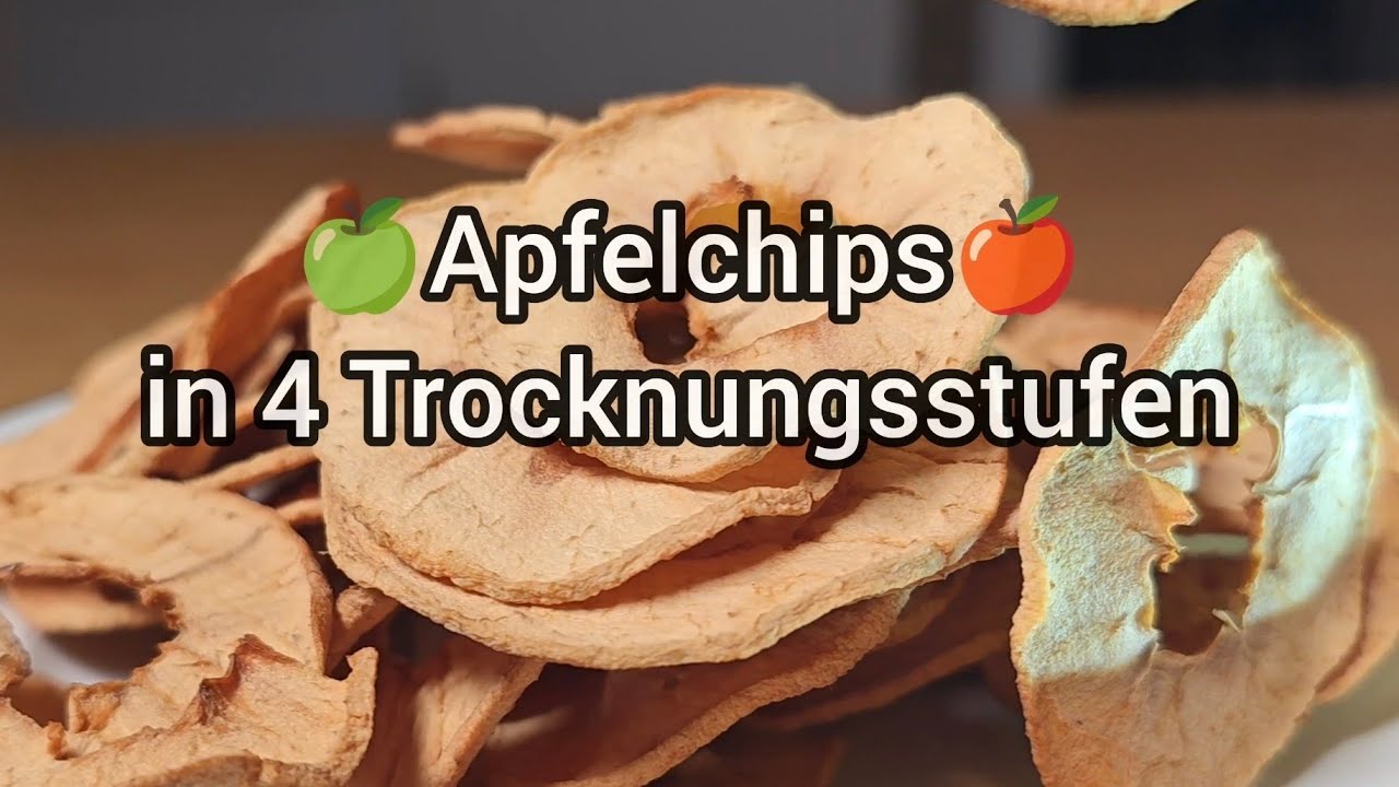 Apfelchips selber machen - Genaue Anleitung für Apfelringe im Dörrautomaten 