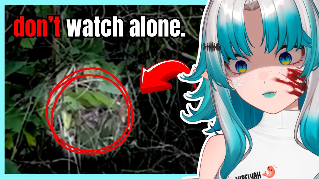 5 VERSTÖRENDE VIDEOS die auch DICH zum SCHREIEN bringen
