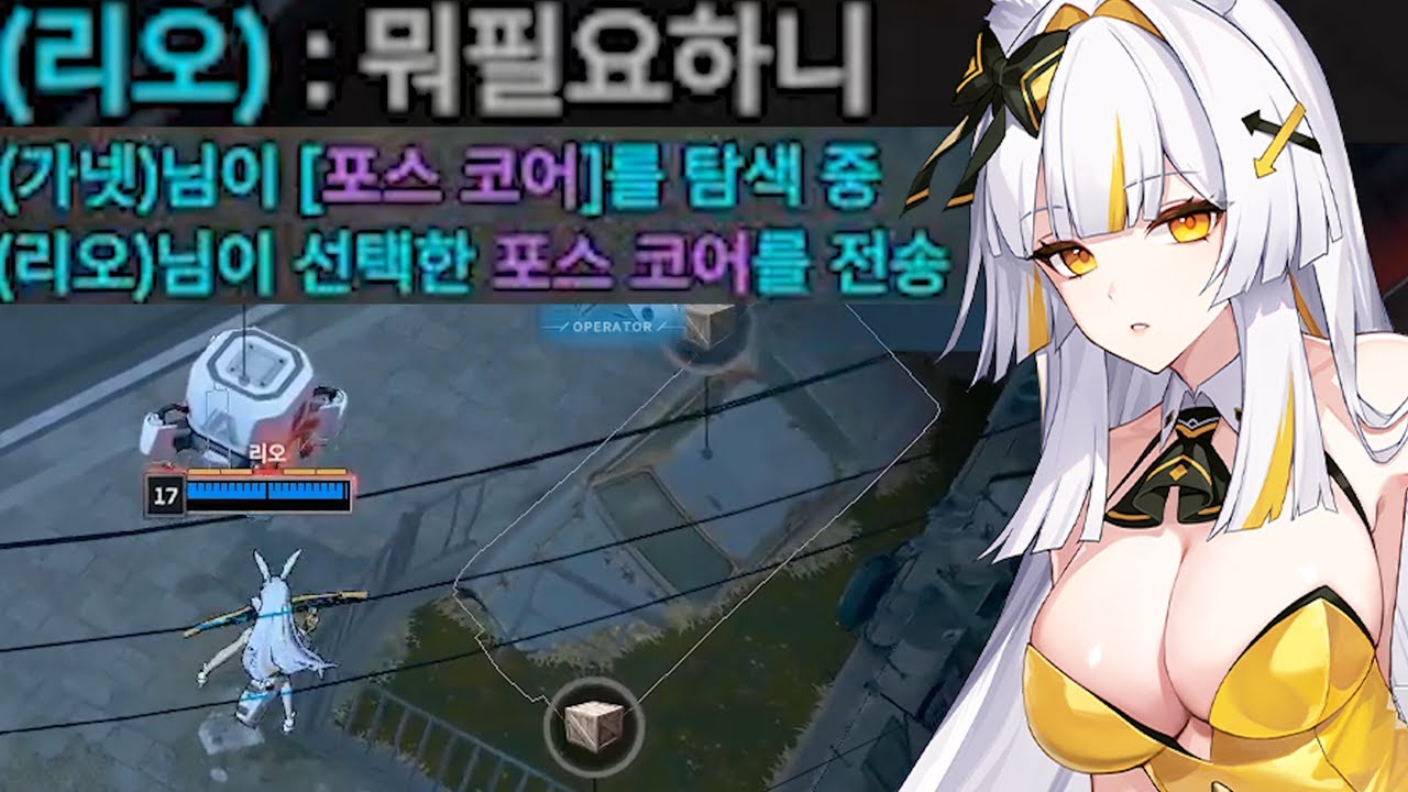 포코 사주는 리오
