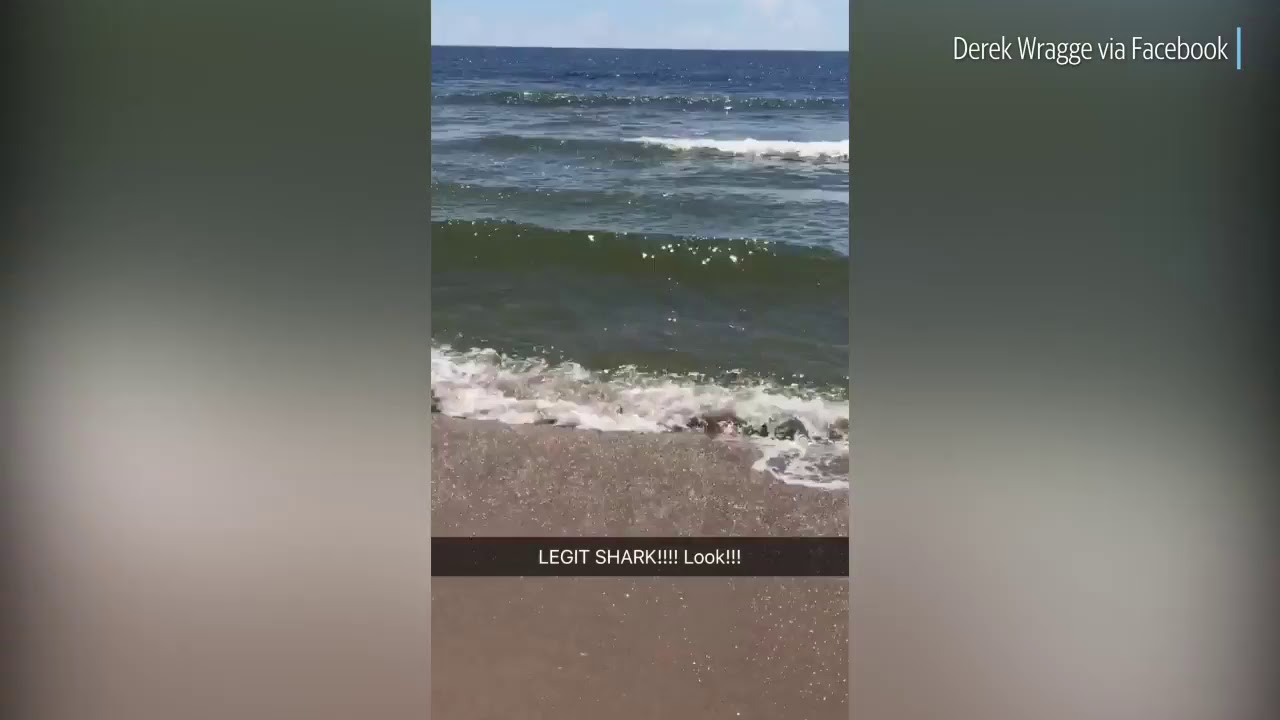 Shark thrashes in shallow water at North Carolina beach
