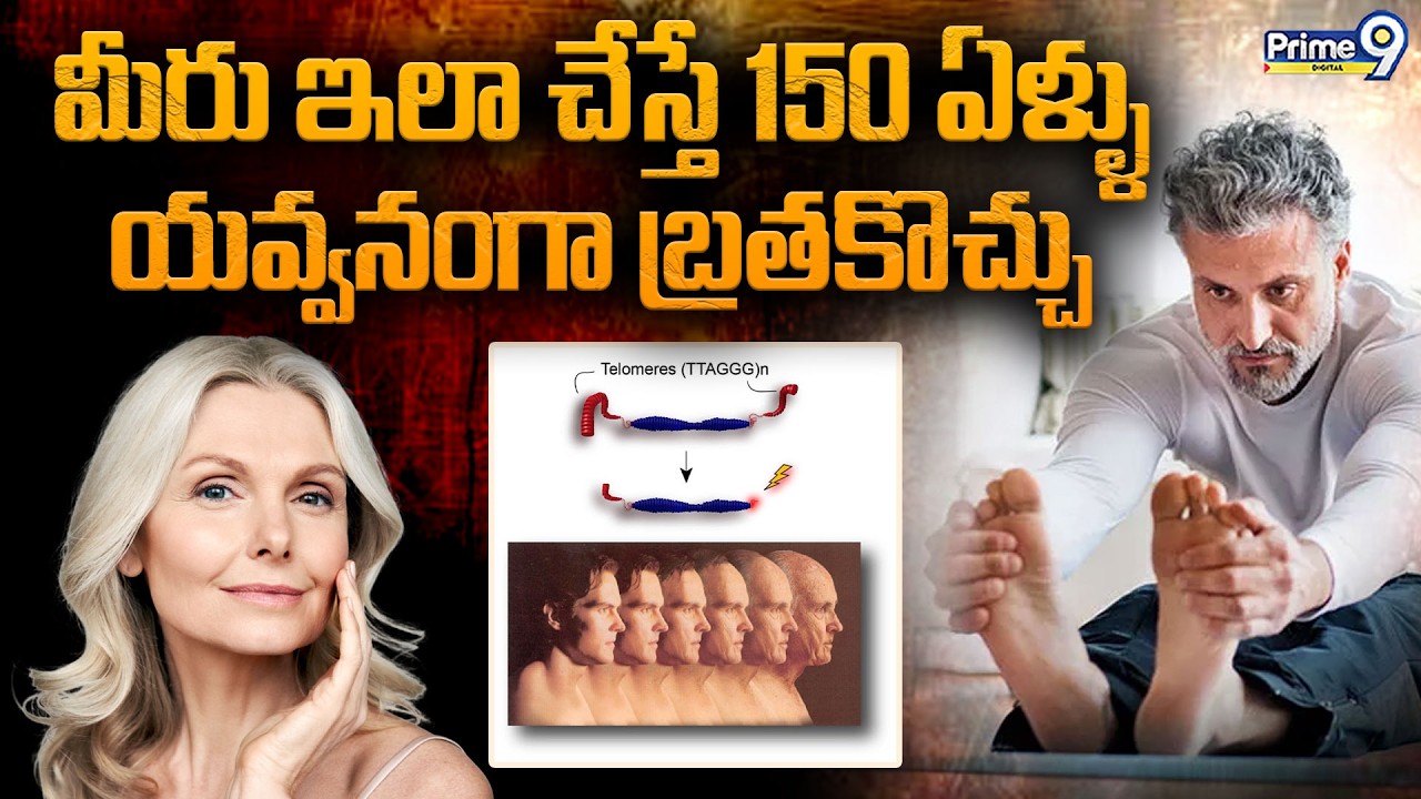 Telomeres మీరు ఇలా చేస్తే 150 ఏళ్ళు యవ్వనంగా బ్రతకొచ్చు | Age Secrets |  Viral News | Prime9 Digital