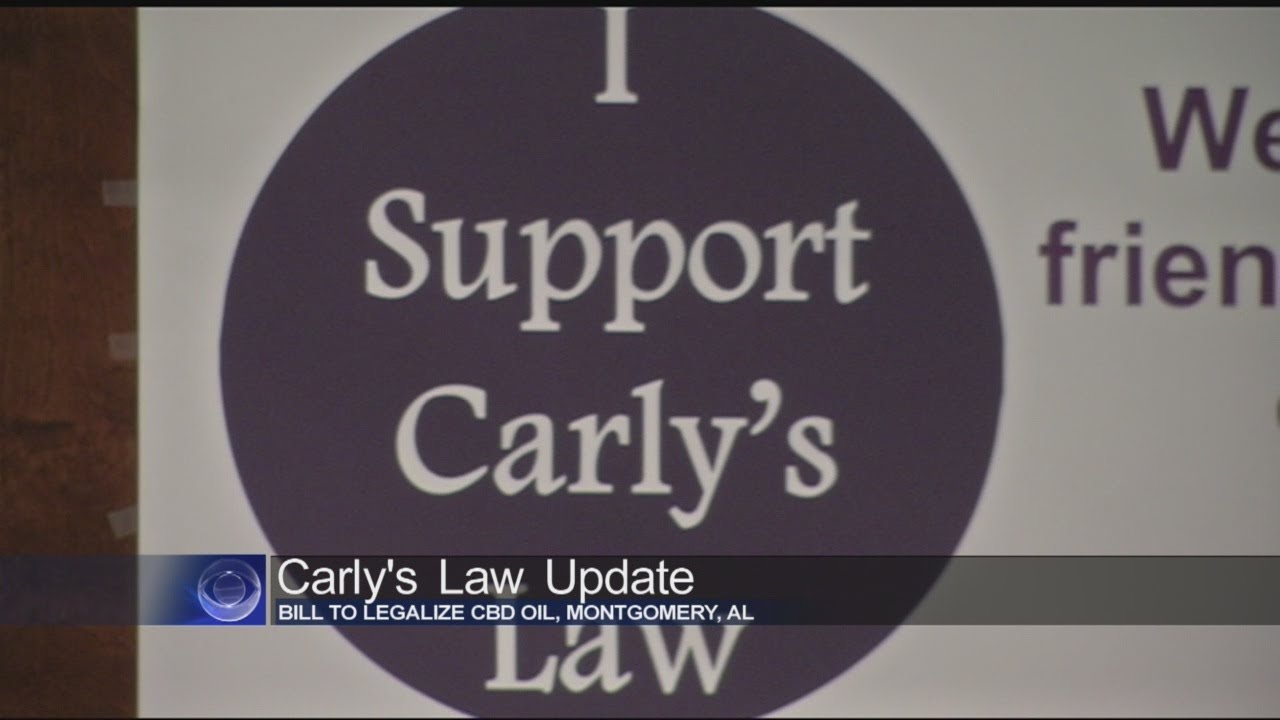 Carly's Law moves to the House after Senate approval