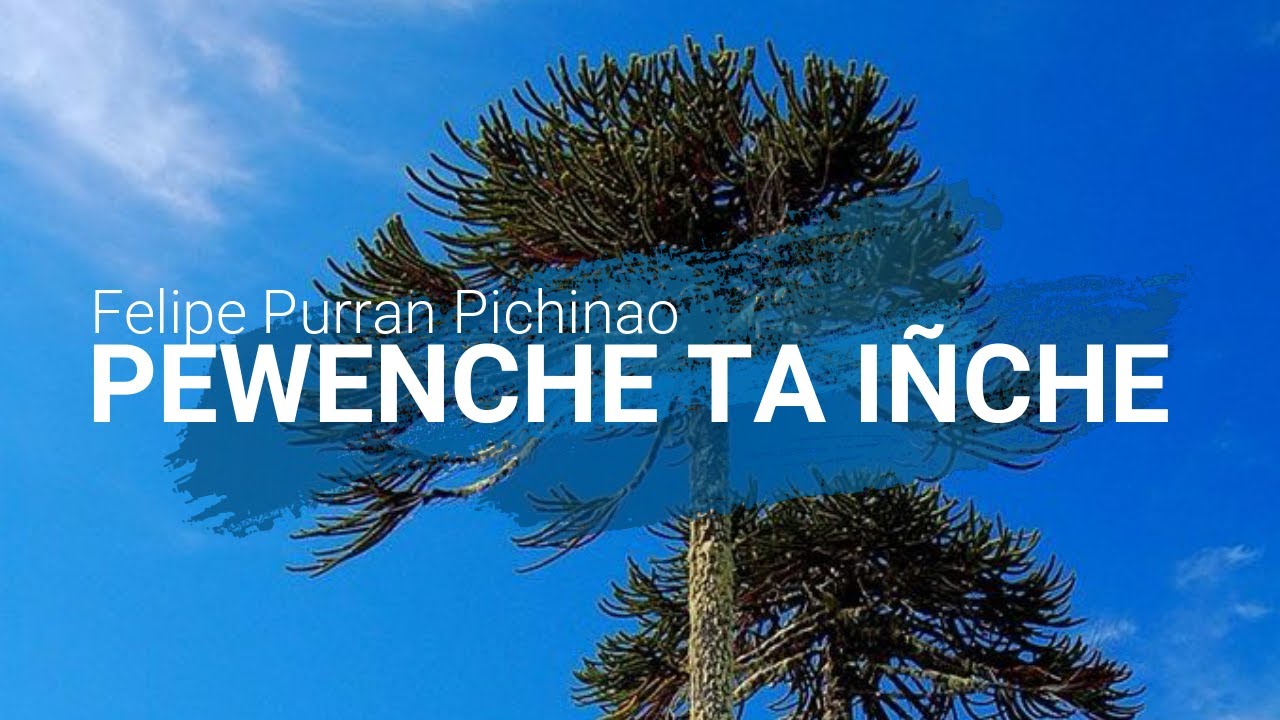 felipe purran-Pewenche ta iñche(Pewenche soy)