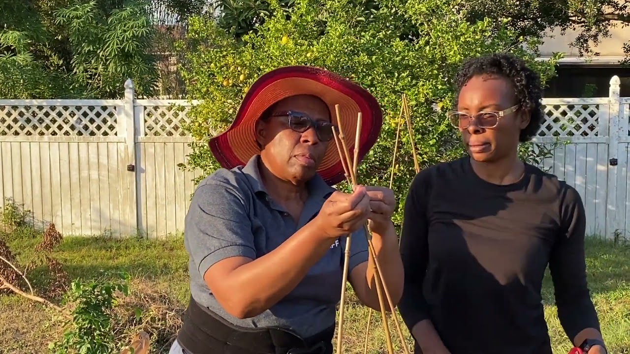 How to Start a Garden Without Experience | Seedtime and Harvest | Helping Hands Part One