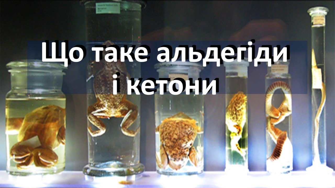 Що таке альдегіди і кетони. Довідник для учня