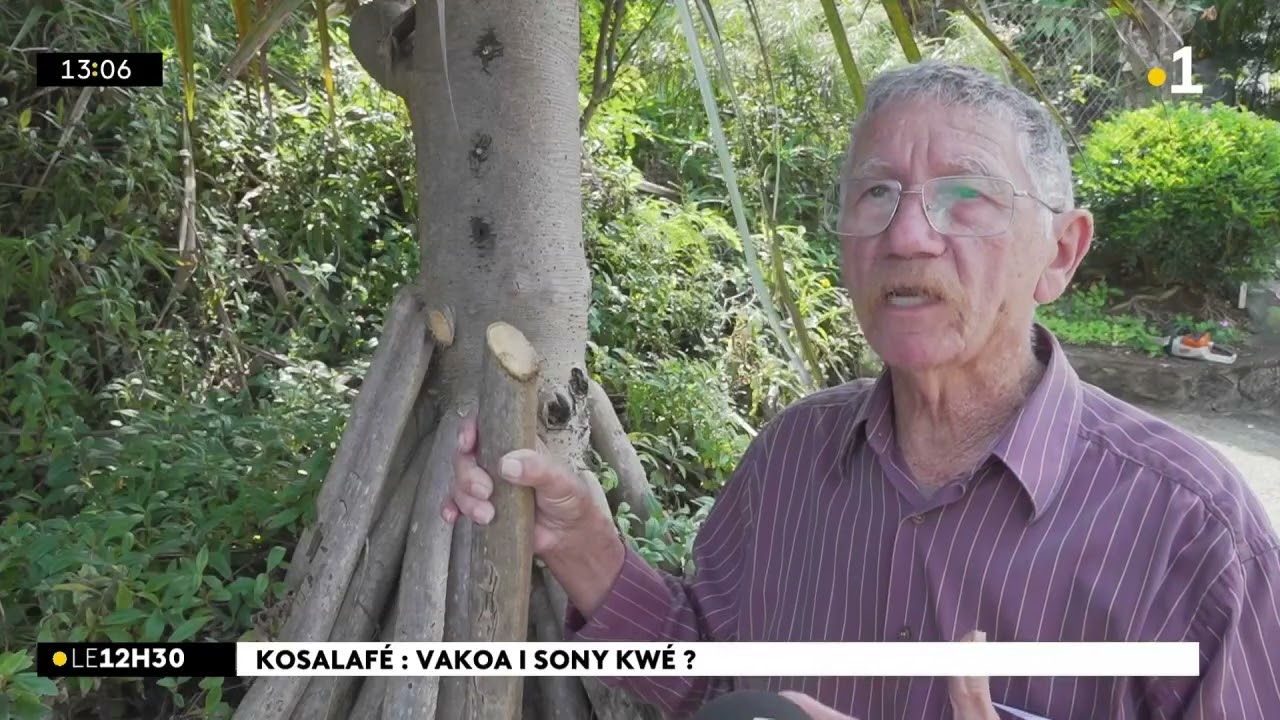 Kosalaf&eacute; ! Kosa i sony kw&eacute;  Domann anou Hermina LASSON va domann Raymond Lucas !
