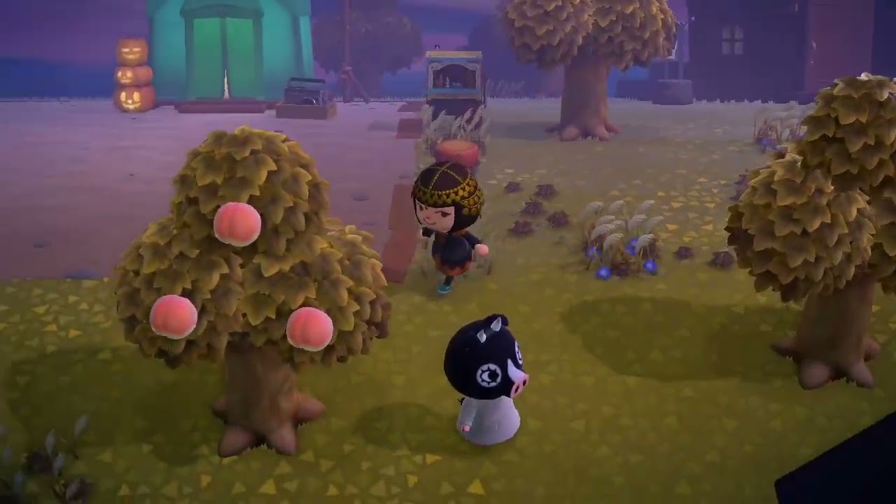 Island Time -- Halloween 