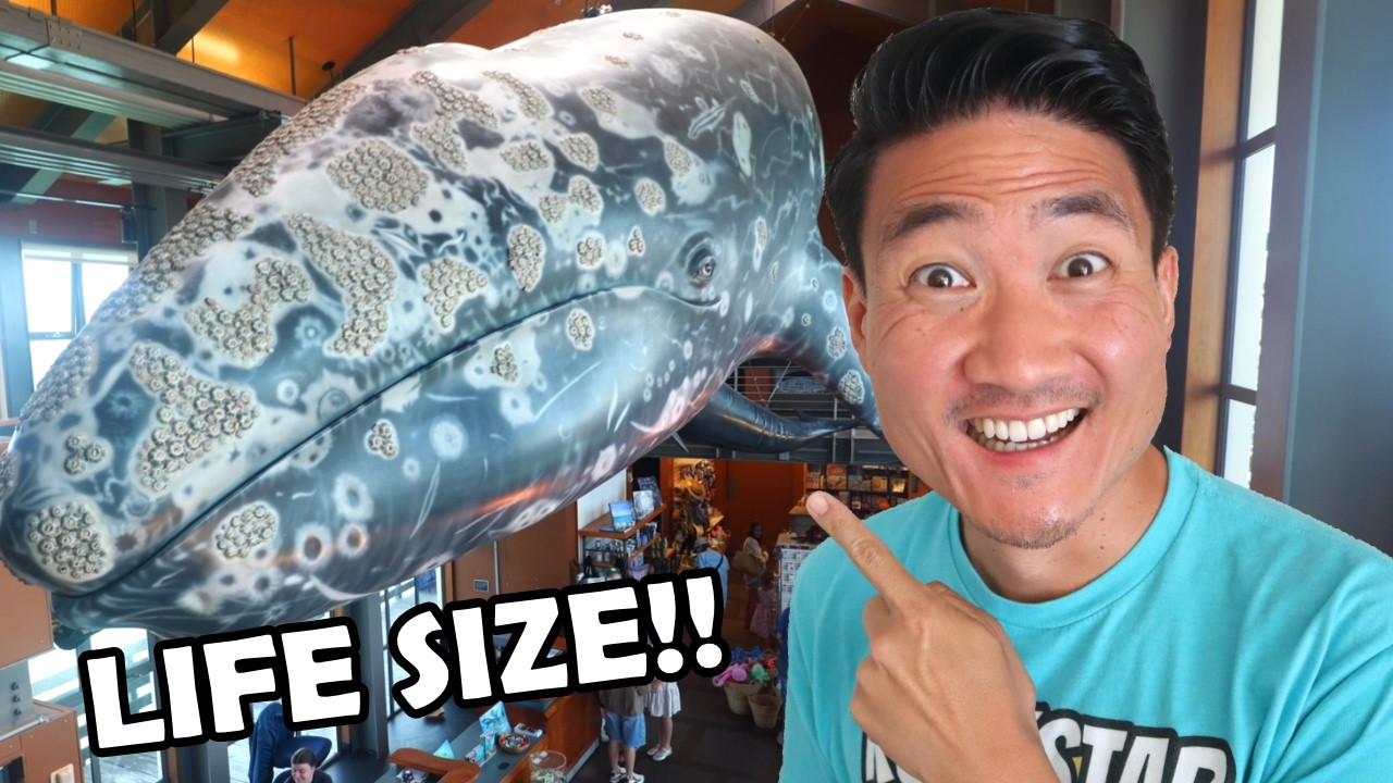 5 Best Things To Do in Santa Barbara, CA! (Walking Tour)