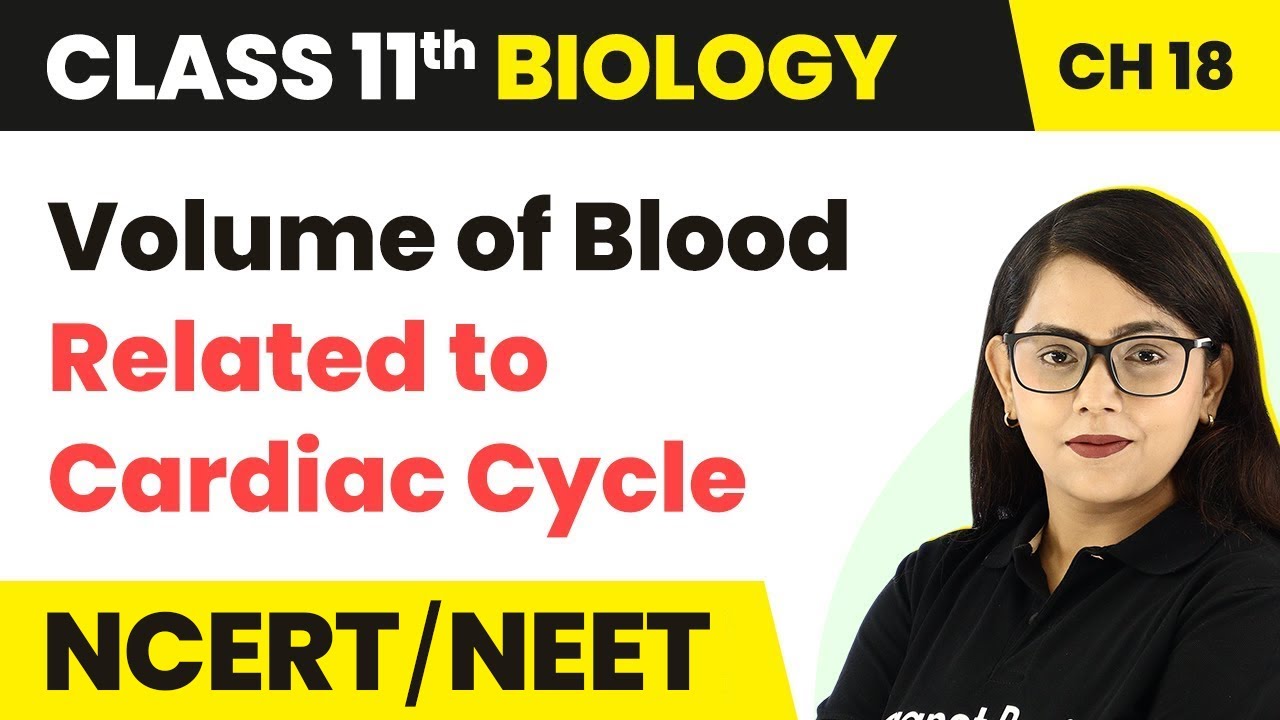 Volume of Blood Related to Cardiac Cycle | Body Fluids & Circulation | Class 11 Bio Ch 18 NCERT/NEET