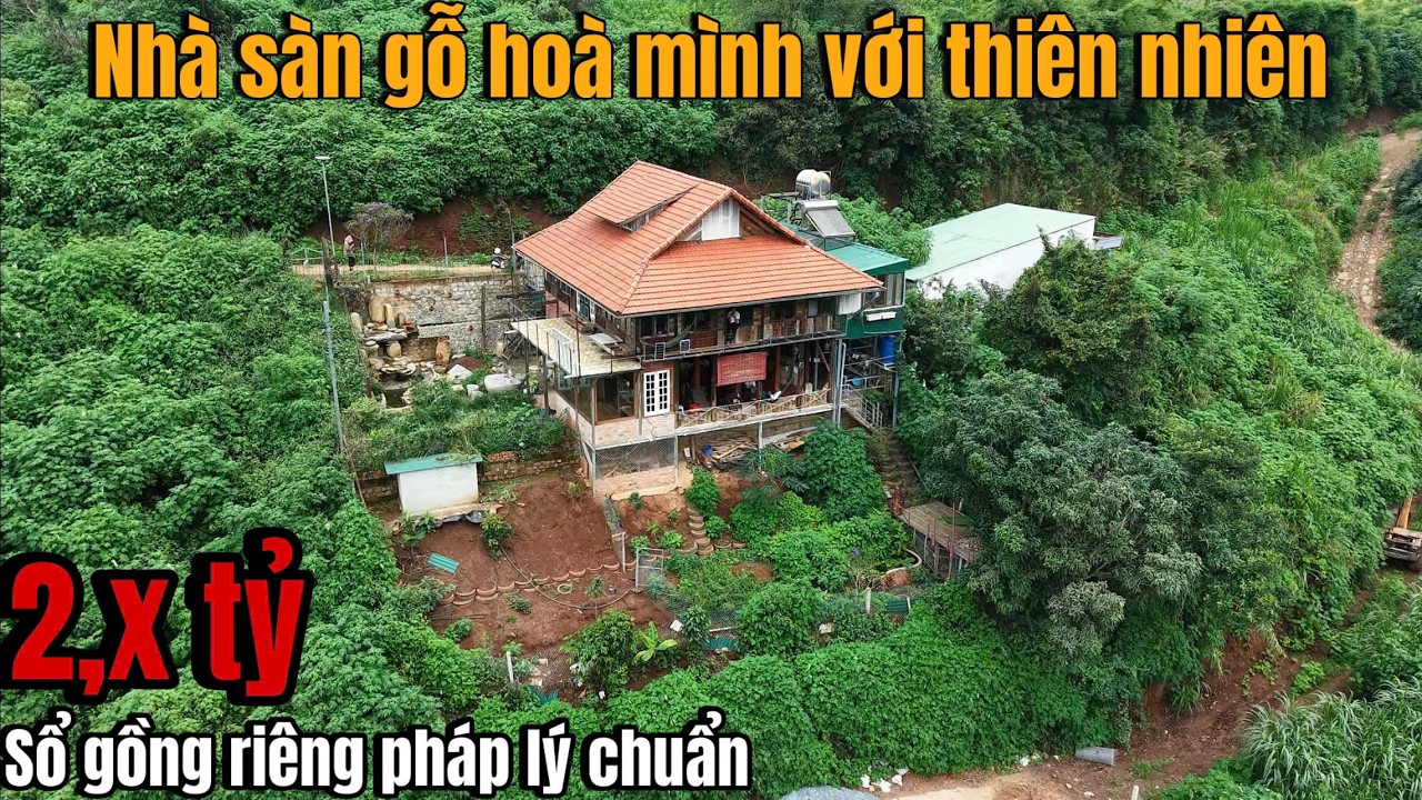 Nhà sàn nằm giữa thiên nhiên, phù hợp với ai bỏ phố về rừng !