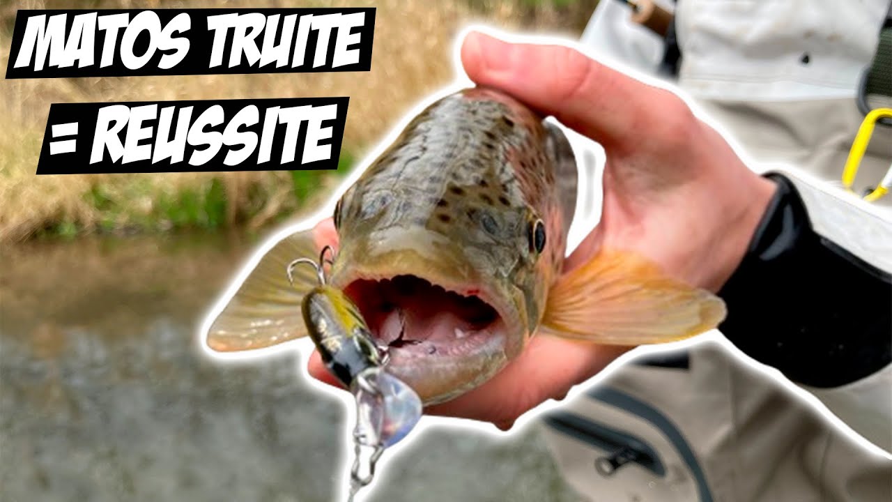 J'UTILISE QUOI POUR LA TRUITE ? 🐟 matos, conseils, astuces