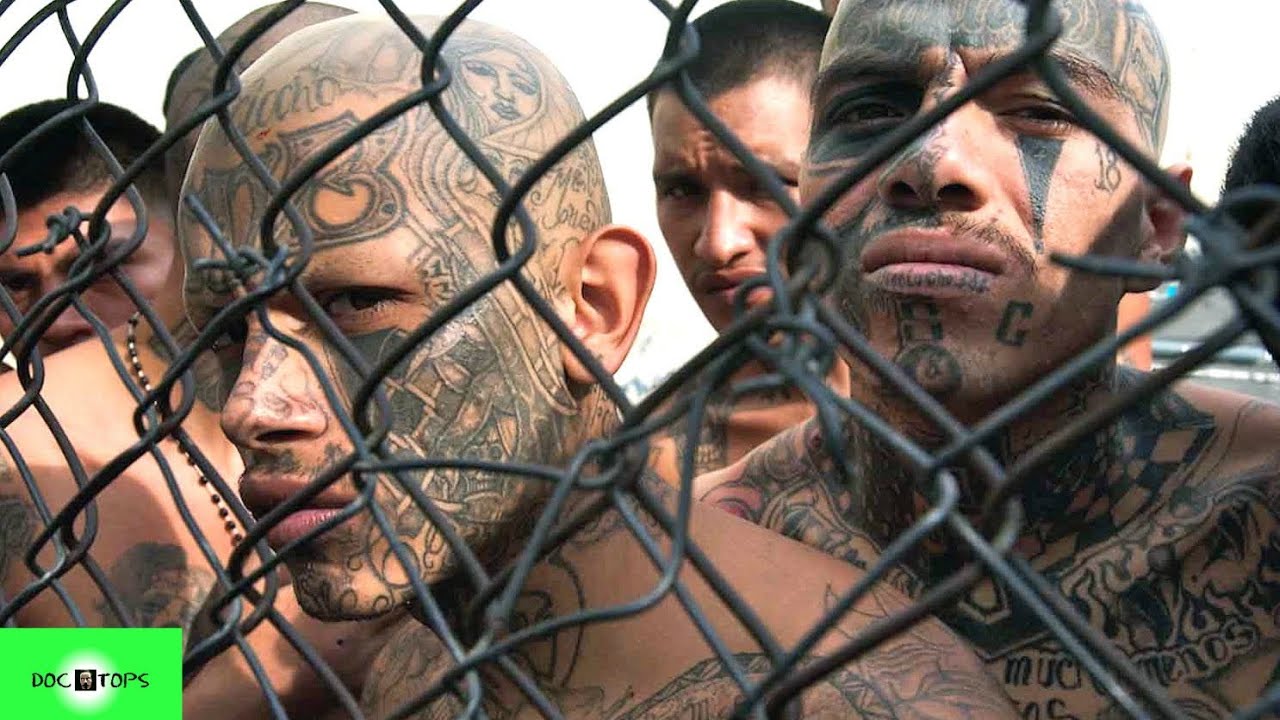Top 10 Pandillas M&aacute;s Peligrosas Del Mundo