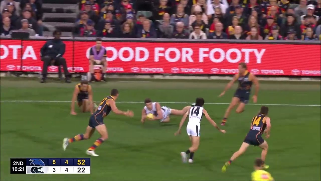 Nic Newman - Round 5 2023 Highlights