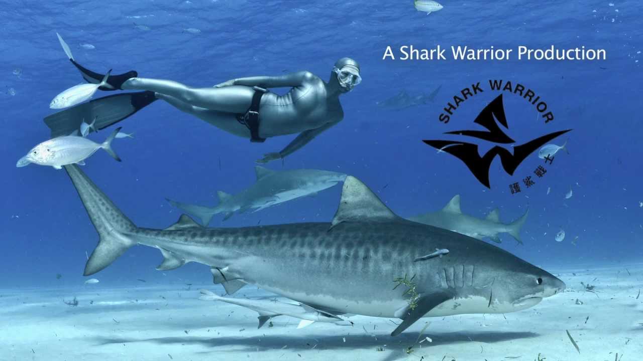 LESLEY ROCHAT FREEDIVING WITH SHARKS