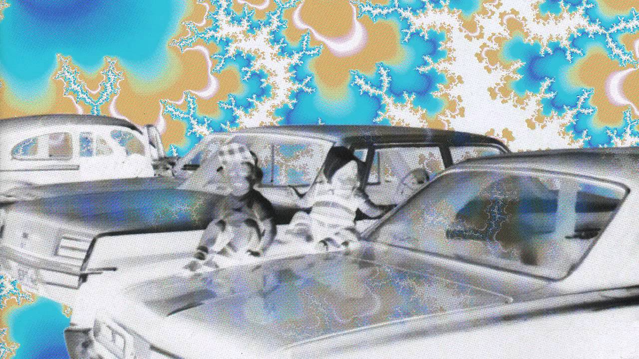 Old Reino - Urheilu ja politiikka