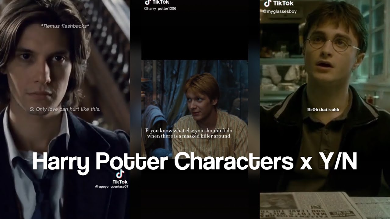 Harry Potter Characters x Y/N TikTok POV