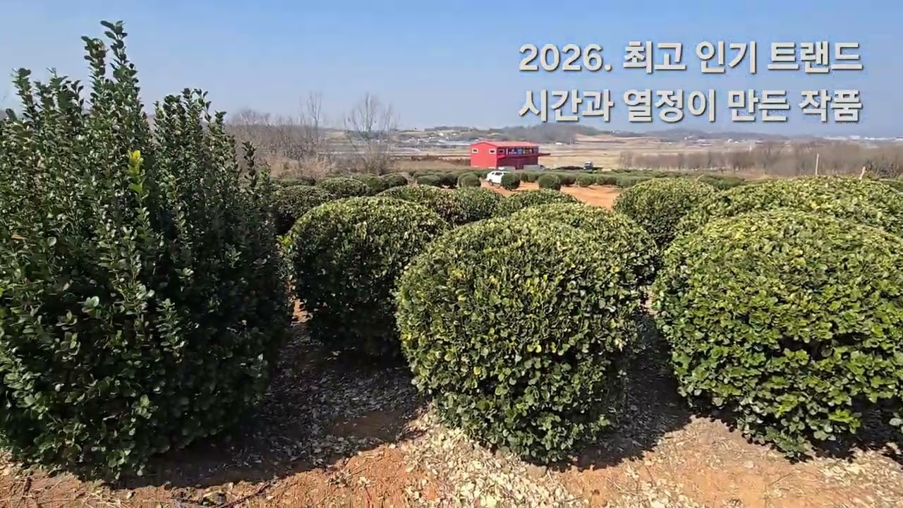 함께 하는 시간 부들이와 산책하기  최고최상의 데이트