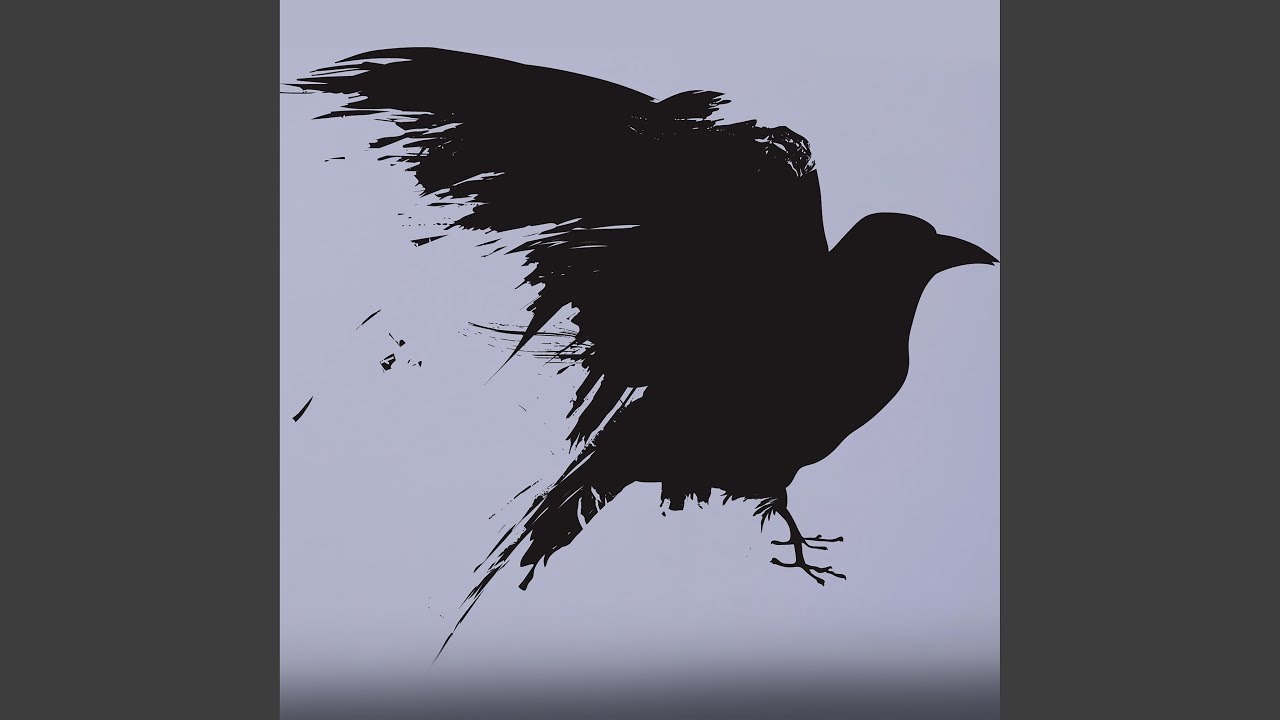 Ravens