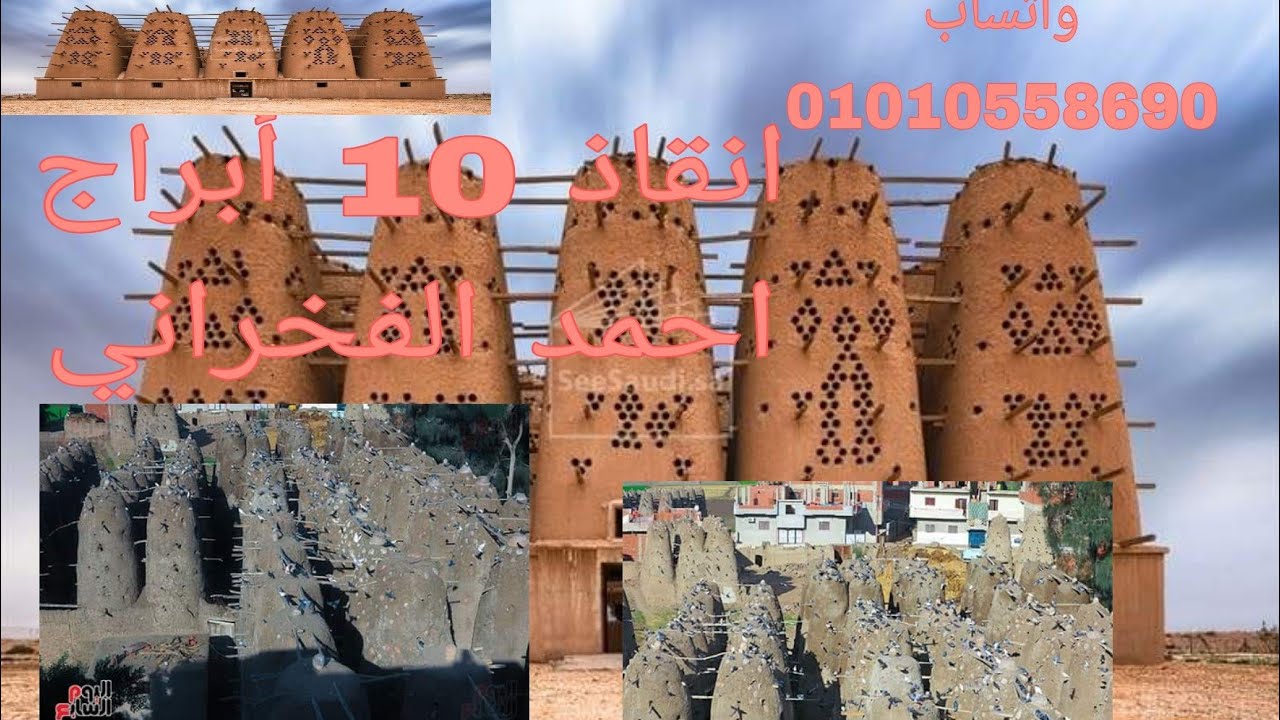طريقه جمع الزغليل من #أبراج_الحمام وافضل طريقة ل تنضيف الفخار 01010558690