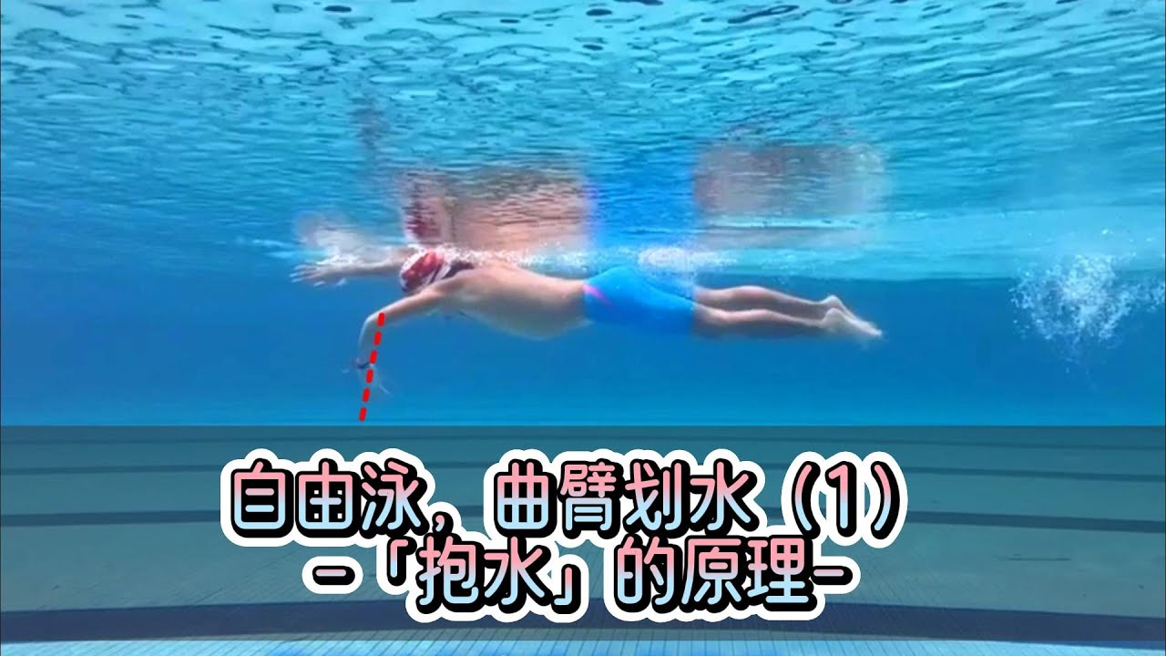 自由泳，划手的最终形态，曲臂划水（1）——曲臂抱水的原理