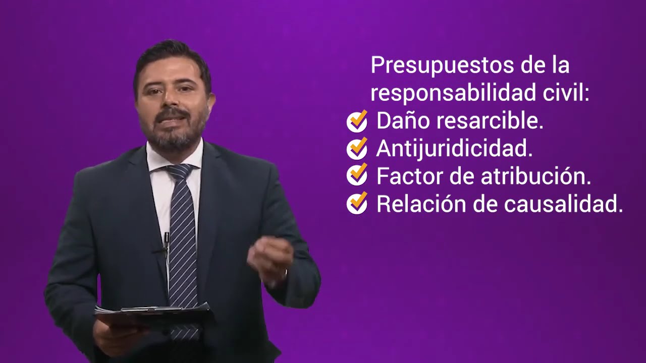 Derecho Privado VIII (Daños) - Parte 1 - Responsabilidad civil, el daño y la antijuricidad
