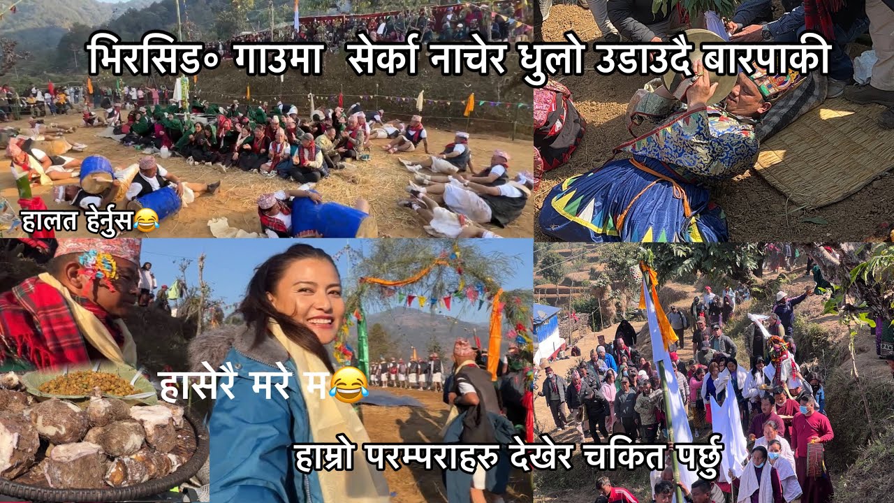 भिरसिड॰ गाउमा  सेर्का नाचेर धुलो उडाउदै बारपाकी |Our culture | लामा नाच चुट्का नाच all in one